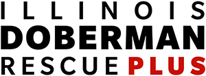Illinois Doberman Rescue Plus Logo