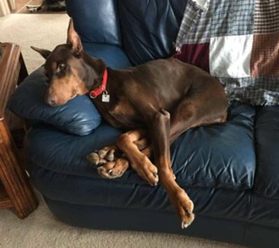 She successfully recovered in a foster home