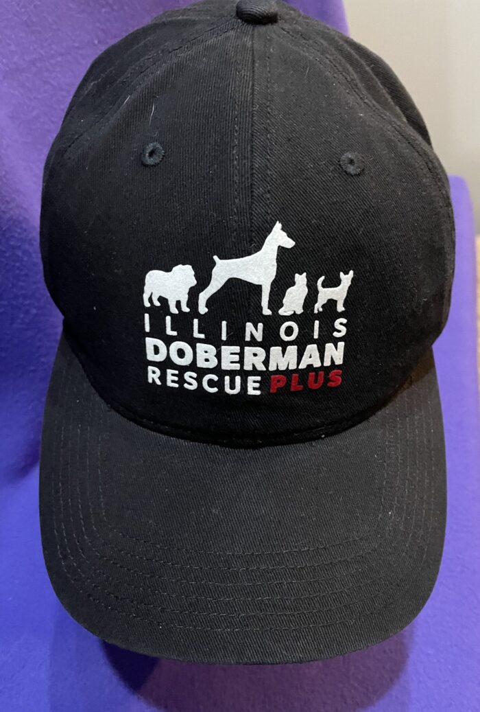 IDR+ Unisex Black Baseball Hat