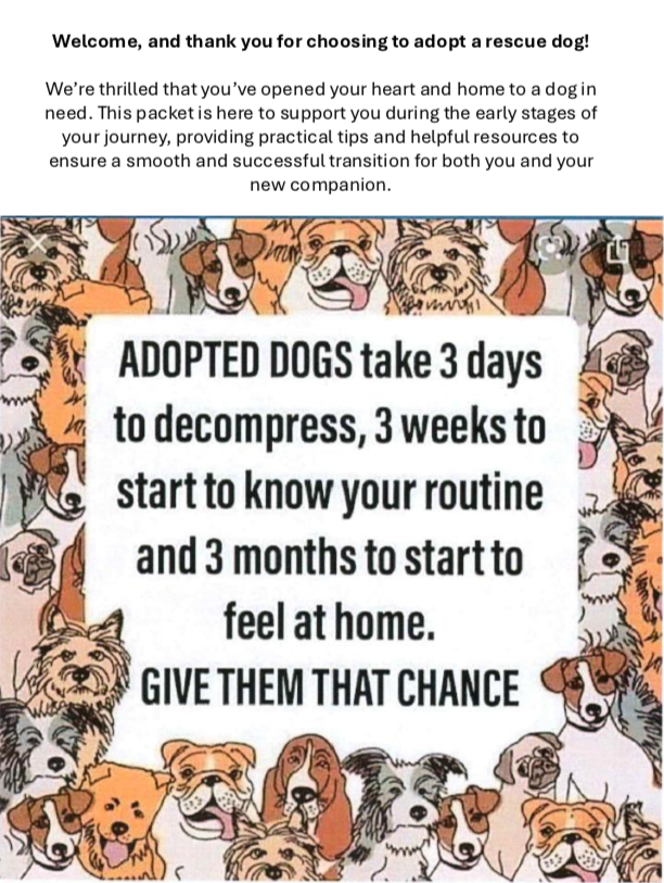Adoption Packet Downloads – Illinois Doberman Rescue Plus