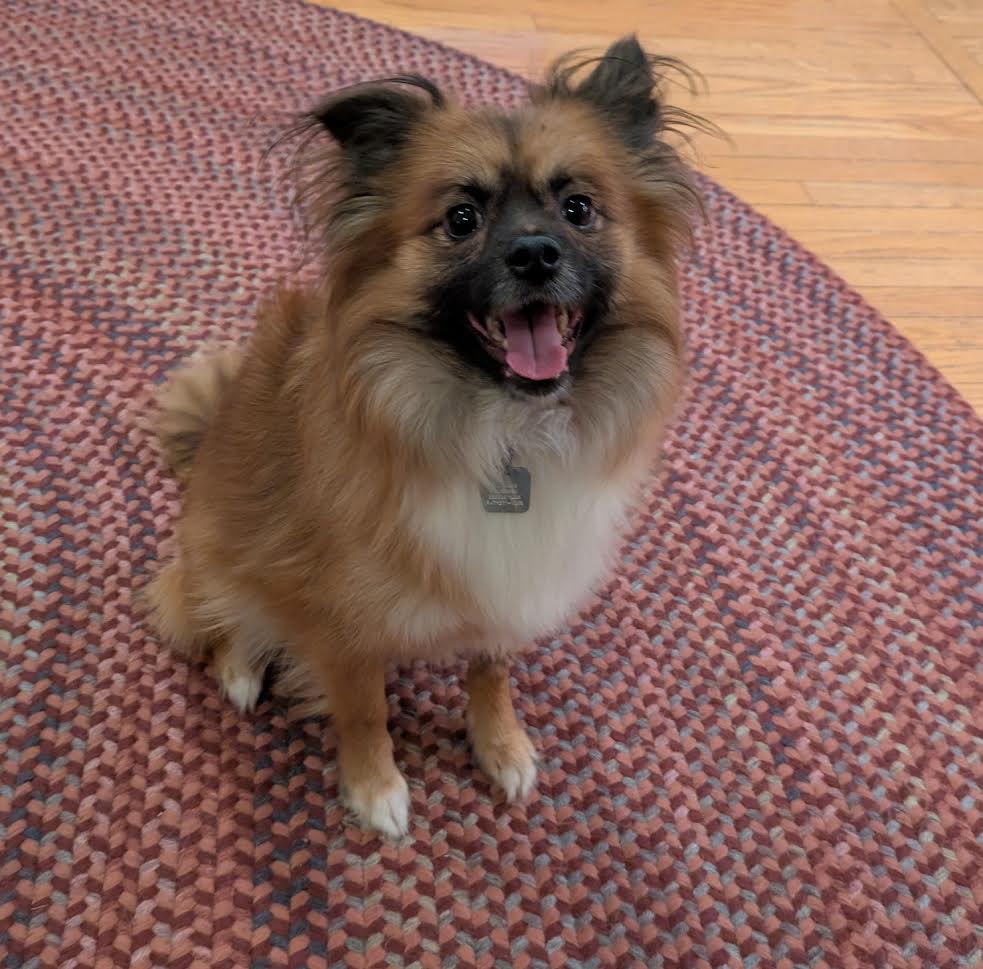 toby3