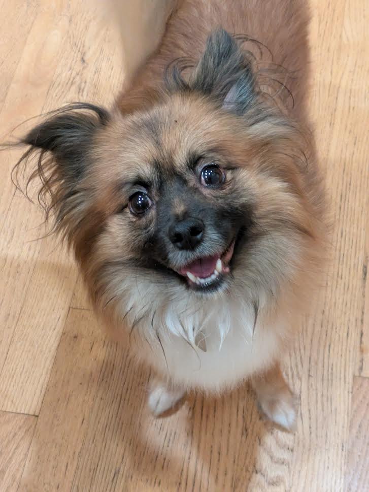 toby4