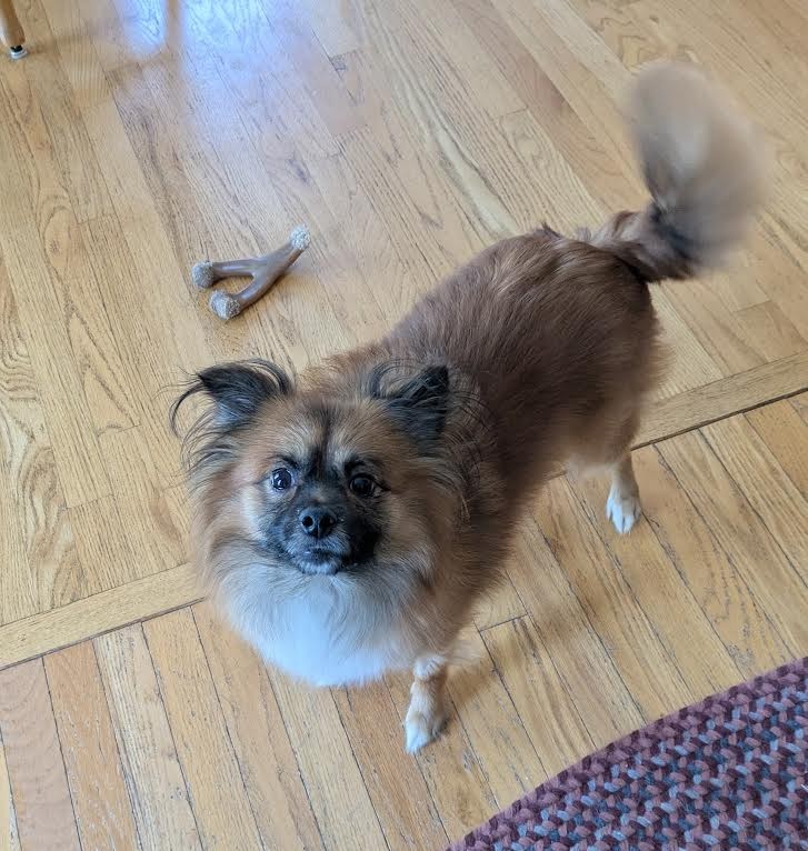 toby5