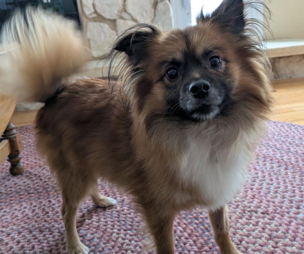 toby6