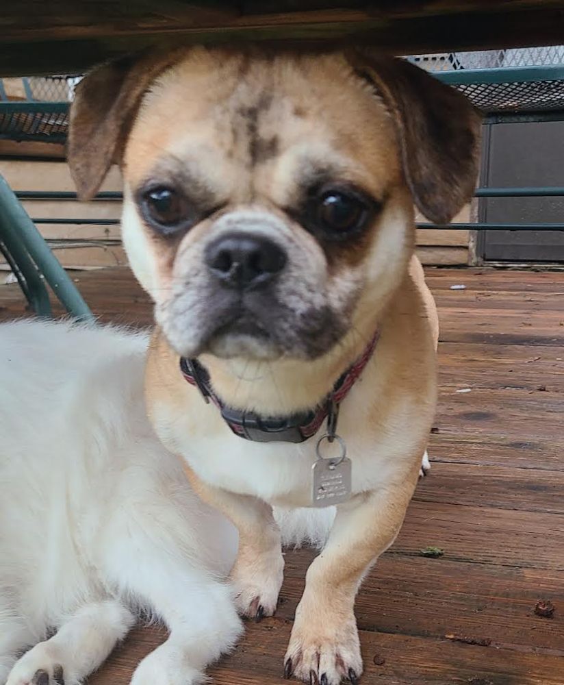 buster new1