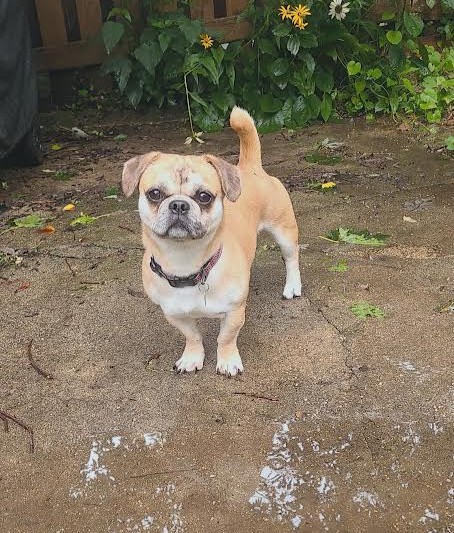 buster new2