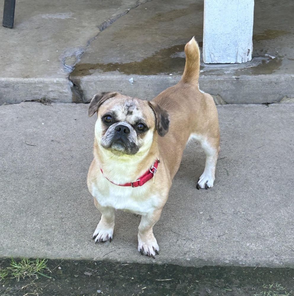 busterbrown3
