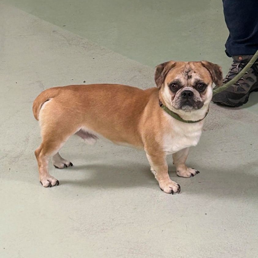 busterbrown5