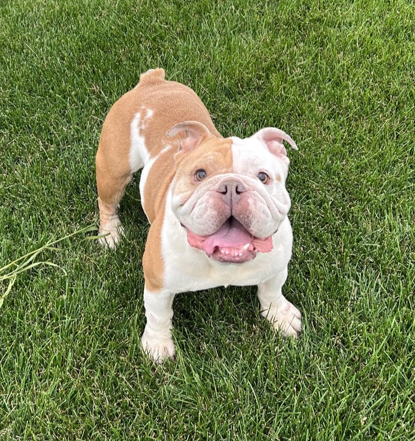 ellie11