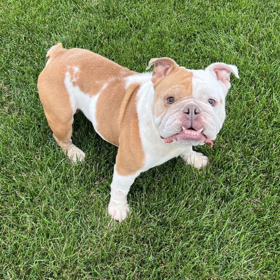 ellie12