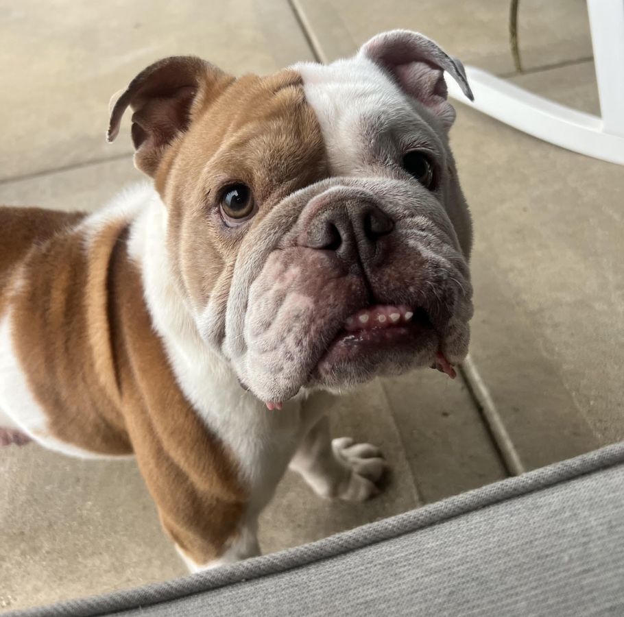 ellie6