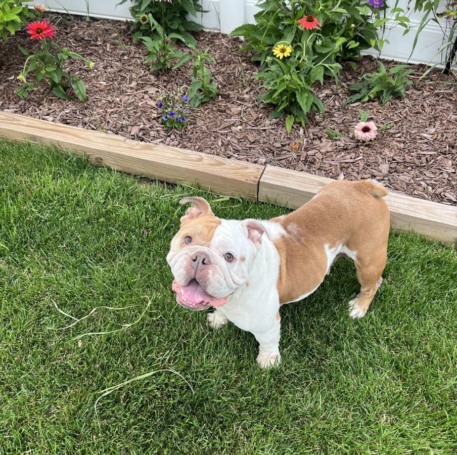 ellie9
