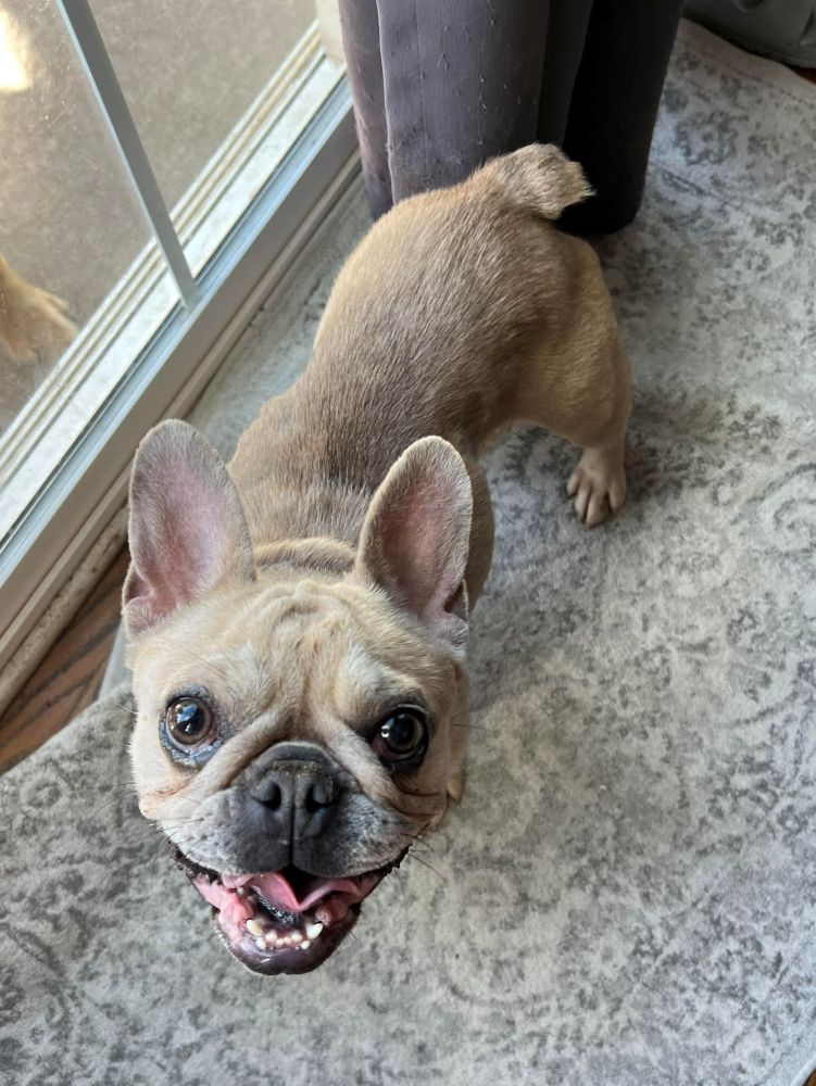 frank3