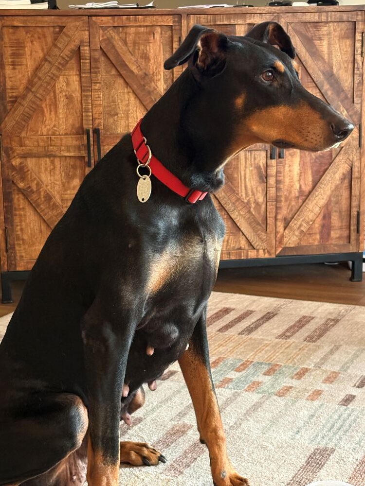 reese3