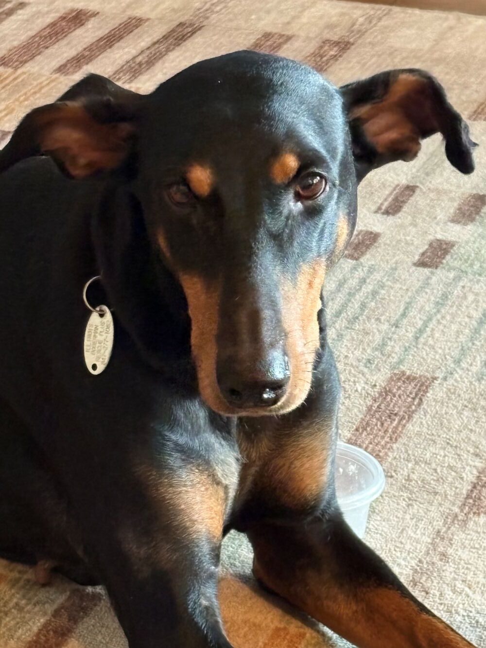 reese4