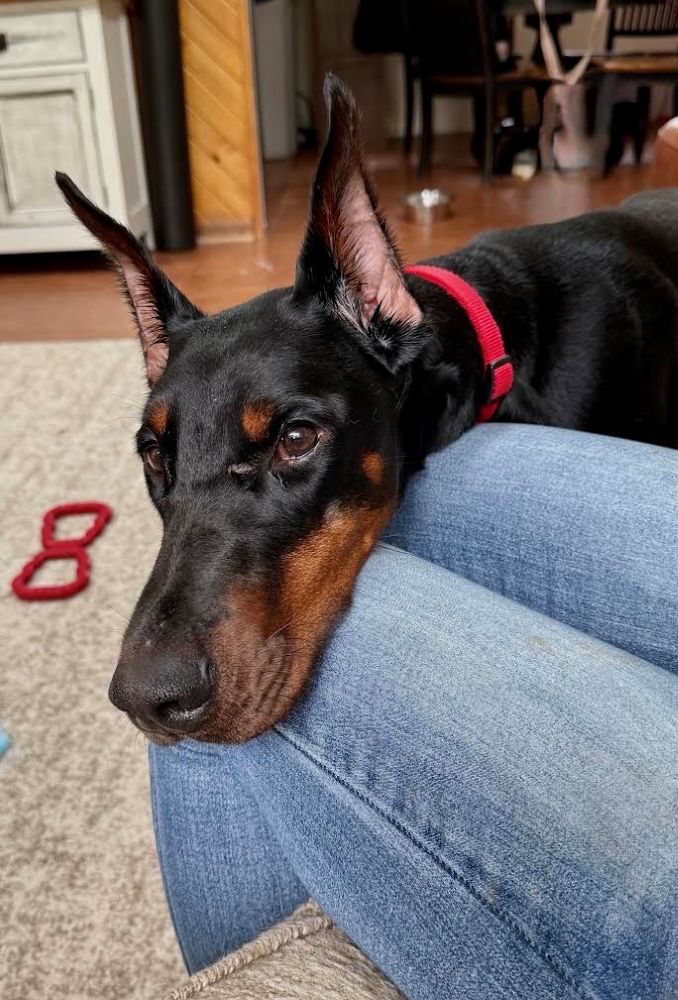 bindi7